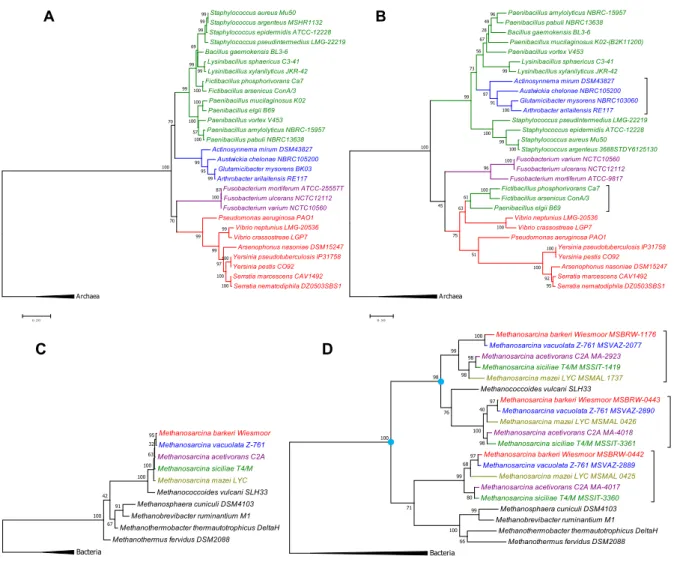 Figure  7  Molecular  phylogenetic  analyses  of  the  NAS/CntL  and  comparison  with  16S  evolution