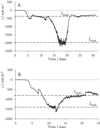 Fig. 1. Evolution of the current density as a function of time under polarization  at  + 0.1 V vs SCE