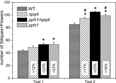 Figure  4. Number of siliques + flowers of wild type and mutant plants in low light condition  was measured on  plants grown 17 days in NL and then 24 days in LL (Test 1) or 37 days in LL (Test 2)