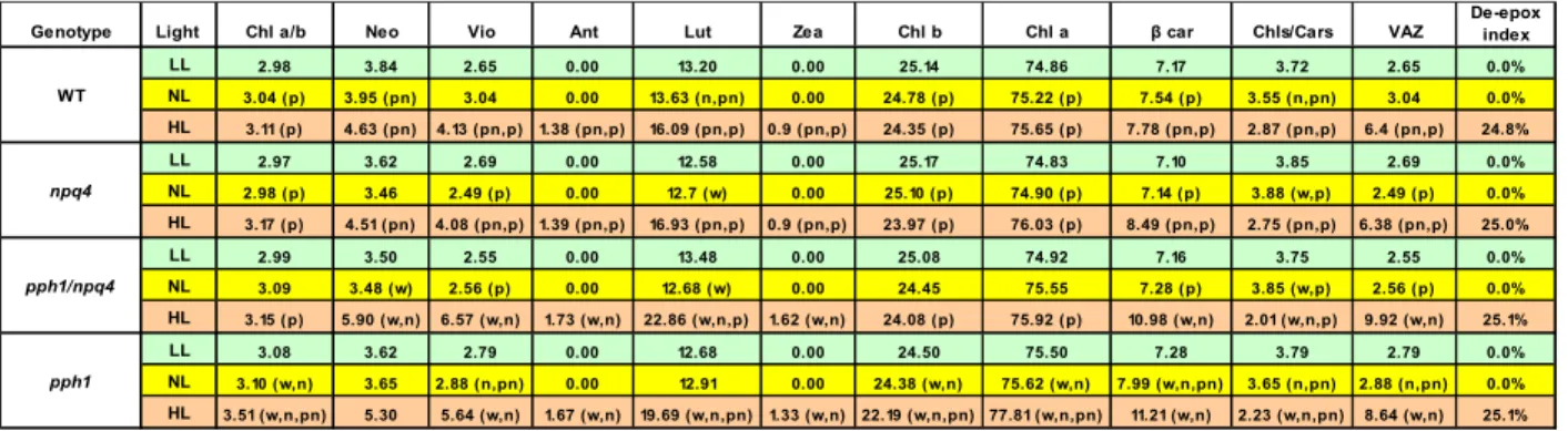 Table 2. PSII quantum yield (ΦPSII) of plants in low light (LL; plants grown 20 days in NL and then 32 days in LL)  and  normal  light  (NL;  plants  grown  52  days  in  NL)