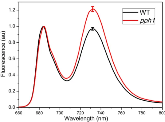 Figure S5. 77K fluorescence emission spectra of leaves of wild type and pph1 mutant plants after treatment at high  light