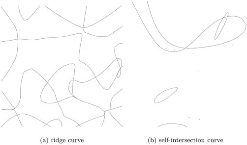 Fig. 1. Topological descriptions of high complexity curves