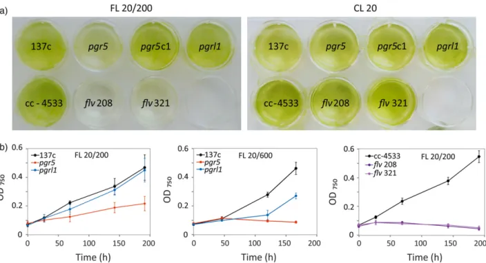 Figure 1. Growth phenotype of Chlamydomonas reinhardtii wild-type (wt) (137c), pgr5, pgrl1 mutant, pgr5 complementation (c1), wt cc-4533, flv 208 and flv 321 cultures.