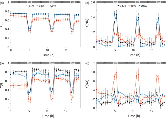 Figure 3. Photosynthetic activity of the wild-type (wt) 137c, pgr5 and pgrl1 mutant cells grown under constant light (CL 20) for 7 days