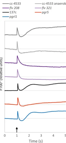 Figure 5. P700 oxido-reduction kinetics at onset of light. The wild-type (wt) 137c, pgr5, pgrl1, wt cc-4533, flv 208 and flv 321 lines were grown under constant light (CL 20), and dark-acclimated for 45 min prior to the  experi-ment