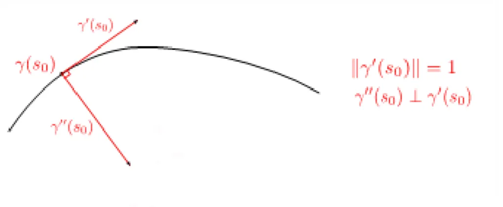 Figure 2 : Dérivée première et seconde d’une courbe paramétrée par abscisse curviligne.