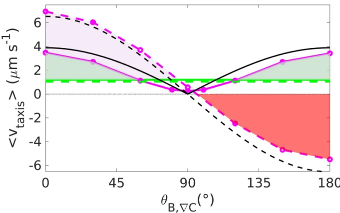 Fig 4. Chemotaxis with magnetic torque. Taxis velocity up the gradient for run and reverse (solid lines) and run and tumble (dotted lines) at B = 0 μT (green line) and B = 50 μT (purple line)