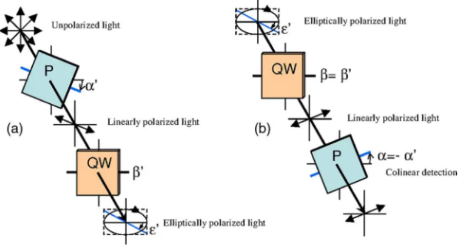 Fig. 1 Sketch of an example of the optical imaging system with linear polarizers (P) and quarter-wave plates (QW)