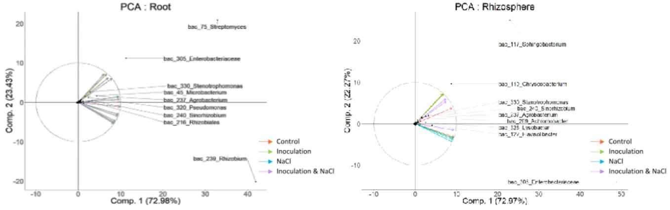 Figure 4:  Relationship between diversity and inoculation and /or salt stress. First PC1 and 731 