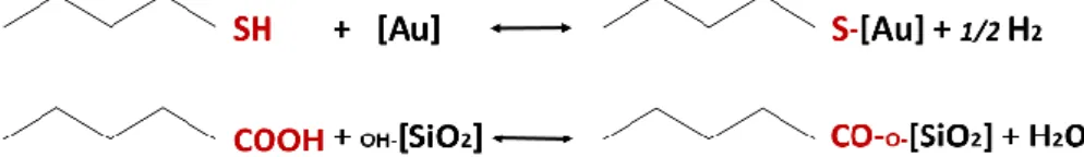 Figure 6: Typical thiol-terminated species for a gold surface (in brackets) chemical reaction (top  chemical reaction equation) and carboxylic acid (COOH)-terminated species to a hydroxylated (OH) 