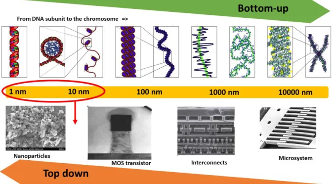 Figure 1: Perspective of the relative scaling of the synthetic and biological worlds with respect to  multiscale DNA architecture