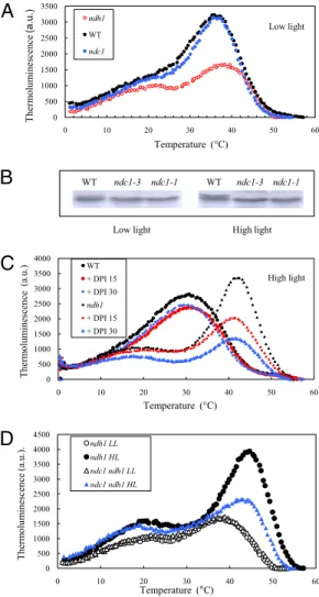 Fig. 1. NDC1 lipid droplet localization. (A) Western blotting of chloroplast membrane fractions separated by sucrose-gradient ﬂ otation