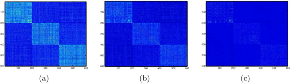 Figure 1: Images of the different similarity matrices, (a) K mds BoPP , (b) K mds BoPS , and (c) Q, computed on the news-3cl-1 dataset