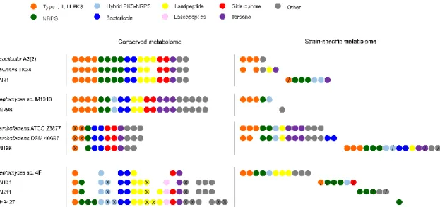 Figure 4. Conserved and strain-specific biosynthetic gene clusters. Within each clade, conserved and  strain-specific  gene  clusters  (circles)  were  identified