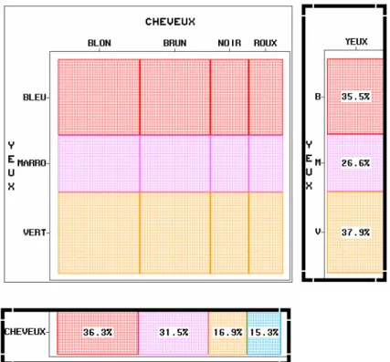 Figure 4 : Diagramme en mosaïque des effectifs théoriques calculés à partir des marges   C’est une visualisation d’une situation d’indépendance entre les variables YEUX et  CHEVEUX