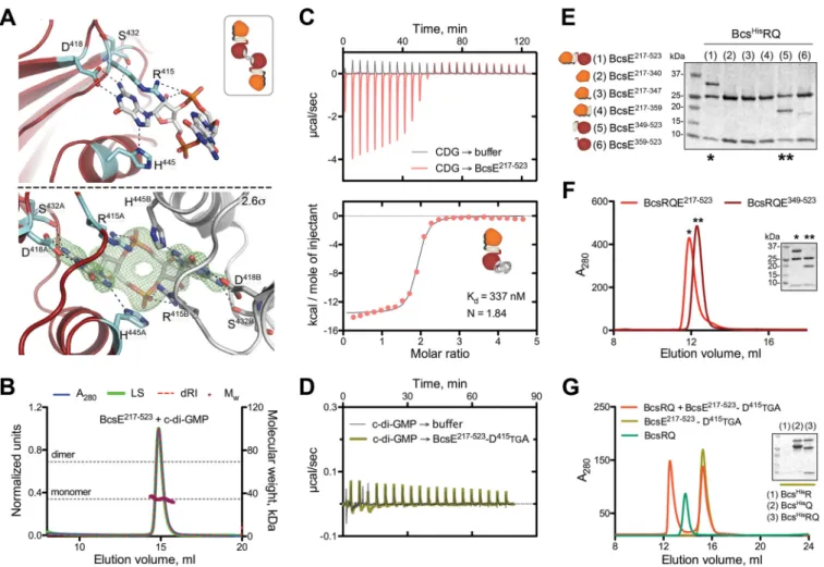 FIG 4 Legend (Continued)