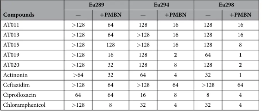 Table 4.   Minimal Inhibitory Concentration of the more active compounds on E. aerogenes MDR strains: 