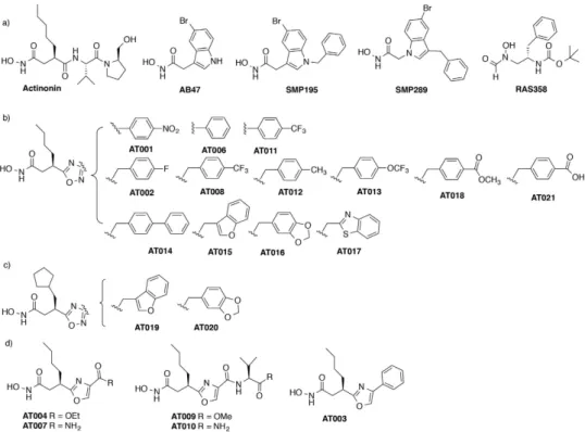 Table 1.   In vitro inhibition constants of PDFIs against PDFs from S. agalactiae, E. coli and A