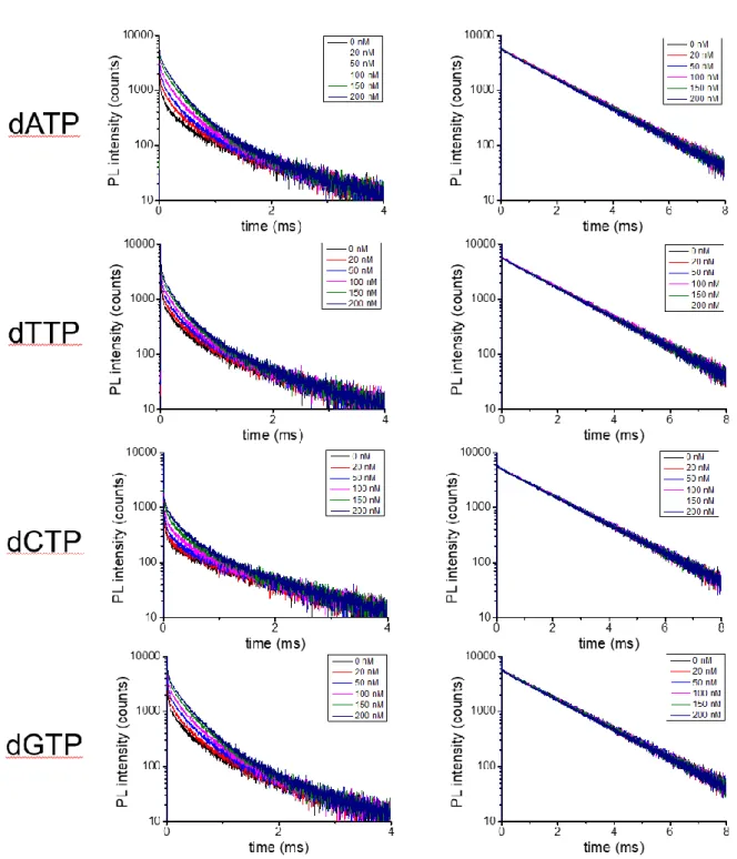 Figure  S1.  PL  decay  curves  measured  in  the  Cy5.5  (left)  and  the  Tb  (right)  detection  channels  for  different dNTP concentrations (black: 0 nM; red: 20 nM; blue: 50 nM; magenta: 100 nM; green: 150 nM; 