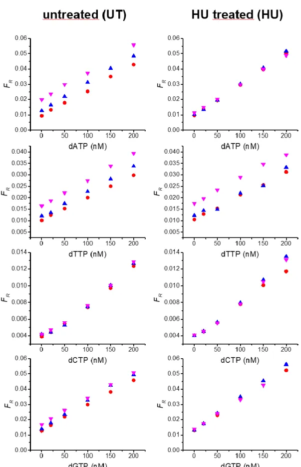 Figure S2. Calibration curves of RCA-FRET dNTP assays (dATP, dTTP, dCTP, and dGTP from top to  bottom) in reaction buffer (total volume of 150 µL) including 2 µL (red), 5 µL (blue), or 15 µL (magenta)  of  cell  extracts