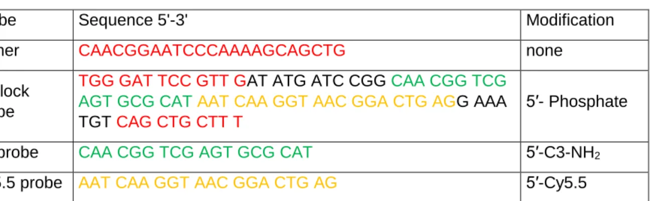Table 1. Sequences of DNA oligonucleotides used in this study 