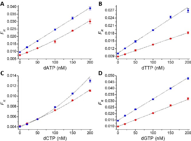Figure  2.  Calibration  curves  of  RCA-FRET  dNTP  assays  (A:  dATP,  B:  dTTP,  C:  dCTP,  D:  dGTP)  in  reaction buffer without (red dots) and with (blue squares) 2 µL of cell extracts (from ~70,000 cells)