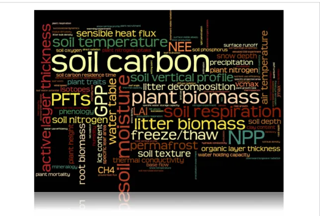 Figure 1. Terrestrial biosphere modeling needs for the Arctic-Boreal Region highlight soil and vegetation dynamics, as illustrated by font size proportional to frequency of response from 18 modeling groups.