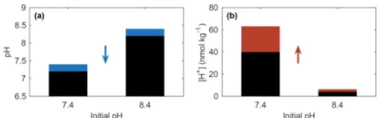 Figure 1. (a) A 0.2 unit decrease in pH (blue portion of bars) equates to (b) a 58 % increase in [H + ] (red portion of bars) for both initial pH values of 7.4 and 8.4