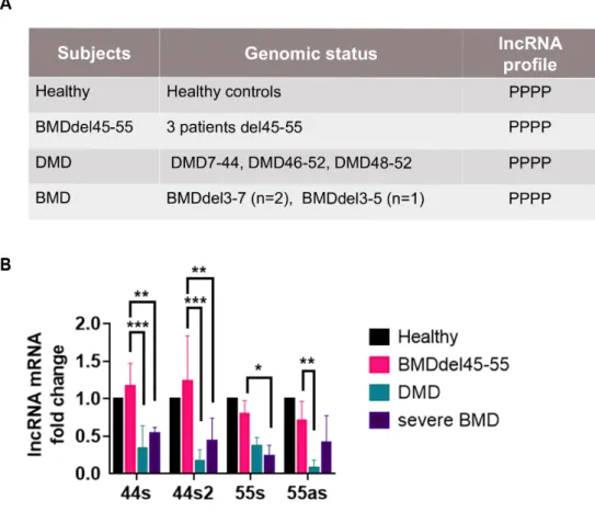 Figure 3. lncRNA profile in control and DMD/BMD patients. (A) Genomic profile of control,  DMD/BMD patient selected for the expression analysis in muscular biopsy