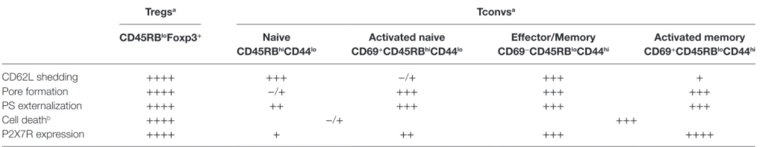 TaBle 1 | Summary of P2X7R membrane expression and ATP-mediated cellular activities in Tconvs and Tregs