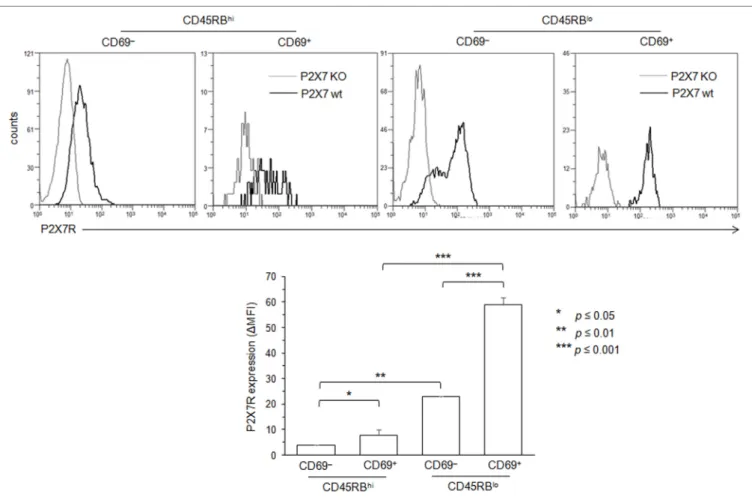FigUre 5 | Variation in P2X7 receptor (P2X7R) membrane expression levels on conventional T lymphocytes (Tconvs) during differentiation from naive to effector/