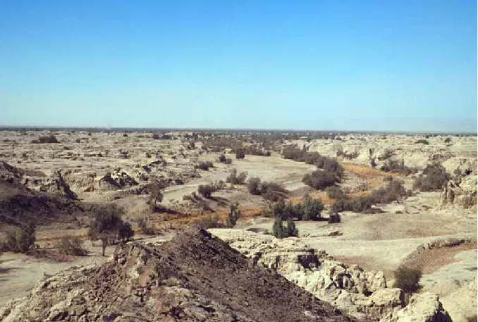 Fig. 11.17   The Nilag Kaur area in  the Dasht Plain