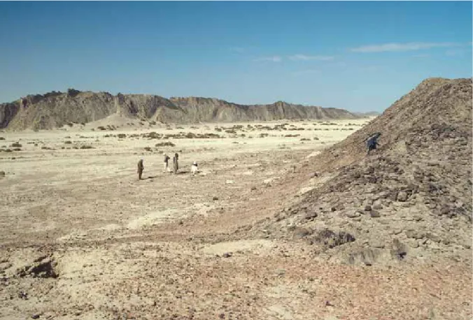 Fig. 11.18   Pottery firing area in  the Dasht Plain