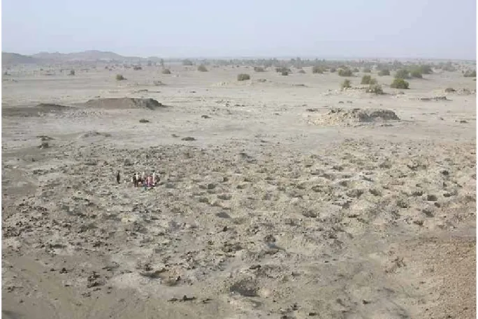 Fig. 11.19   Looted graveyard of  Durrah-i Bast in the  Dasht Plain