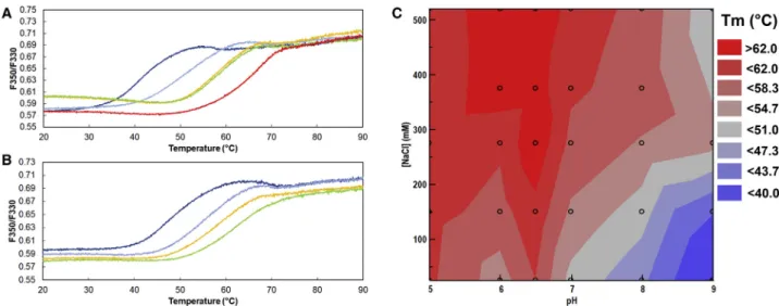 FIGURE 3 Optimization of pH and salt concentration to promote SpNOX thermostability. (A) Thermal unfolding curves of SpNOX (0.8 mg mL 1 ) in buffers containing 300 mM NaCl with various pHs: (dark blue) pH 9, (light blue) pH 8, (orange) pH 7, (green) pH 6, 