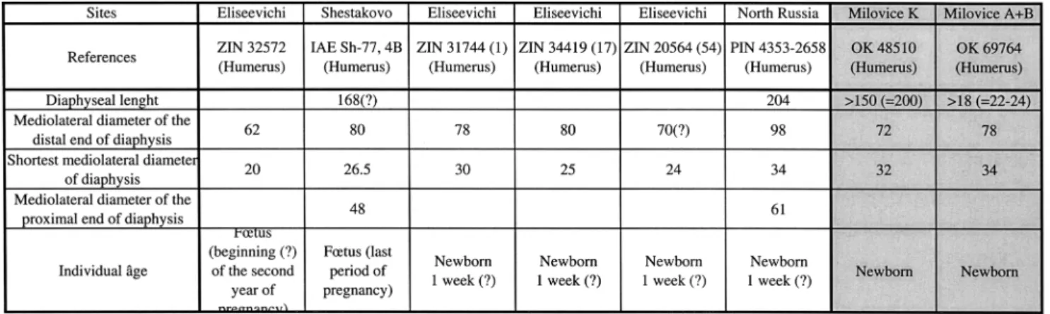 Table 5 Compared measurements of foetus and calves mammoth humerus of Milovice to E. Maschenko’s data (2006).
