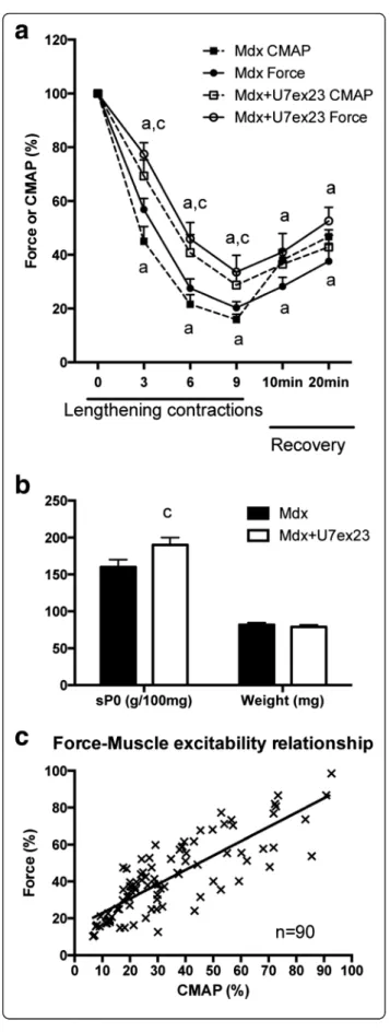 Fig. 8 Effect of partial dystrophin restoration in the TA muscle from mdx mice. a Force and CMAP (RMS) drops following lengthening contractions in mdx mice injected with AAV1-U7ex23