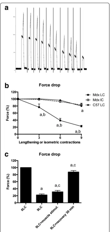 Fig. 1 Susceptibility to contraction-induced muscle injury, i.e., force drop following lengthening contractions in TA muscle from mdx mice and neuromuscular transmission