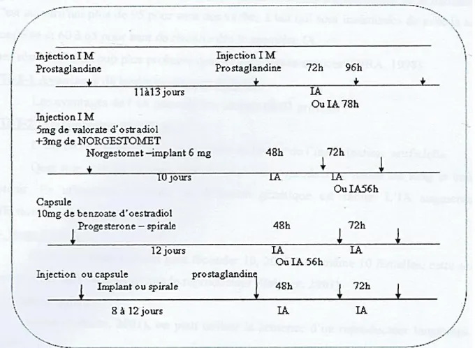 Figure N 04 : représente des schémas des différents traitements des  synchronisations ( Grimard et al.2003)