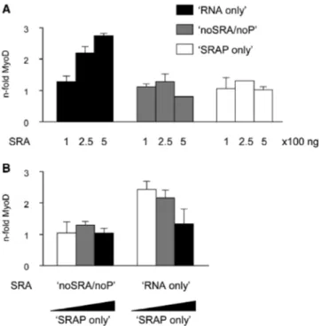 Figure 4. SRA RNA and SRAP have distinct effects on MyoD-activated transcription. (A) COS cells were co-transfected with the pE-Luc plasmid and the MyoD expression vector, in combination or not with increasing amounts of SRA expression vectors