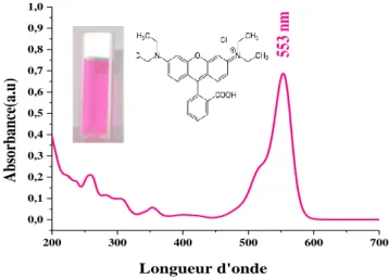 Figure II- 6 : Structure et spectre UV-vis de RhB à 4 mg/L 