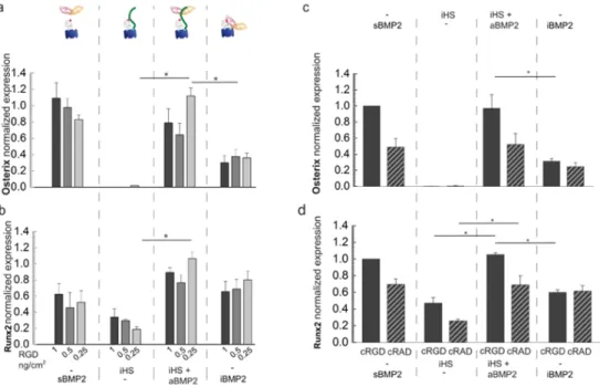 Figure 6: Osteogenic markers are upregulated when aBMP2 is presented by iHS. 