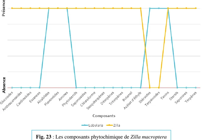 Fig. 23 : Les composants phytochimique de Zilla macroptera  et Lobularia maritima. 