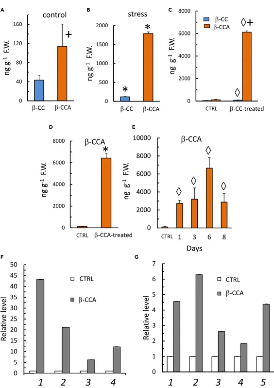 Figure 1. b-CCA Levels in Leaves of Arabidopsis Plants and Their Effect on Gene Expression (A) Control, untreated plants