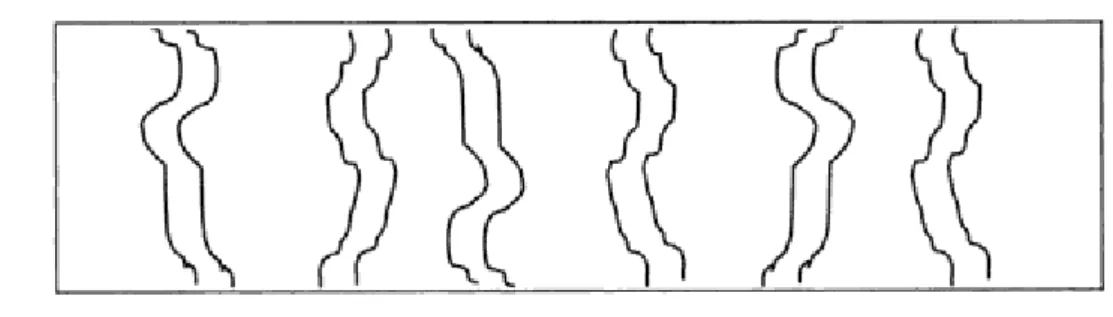 Figure II -2. Représentation schématique d’une membrane symétrique 