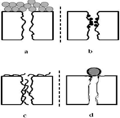 Figure II - 8. Différentes formes de colmatage (a)- formation d’un gâteau, (b)- bouchage des  pores, (c)- adsorption, (d)- blocage des pores