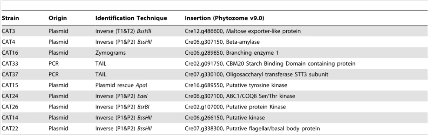 Table 1. List of mutants whose molecular nature was identified through molecular or biochemical techniques.
