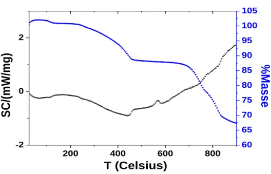 Figure III-3: Courbes d’analyses thermogravimétriques de l’hydrotalcite de synthèse  CuZnAc 