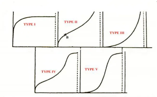 Figure I.8 : classification des isothermes d'adsorption 