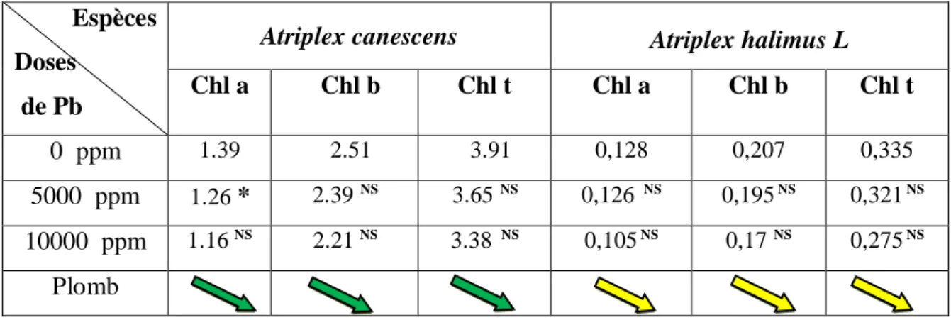 Tableau 07  :  Teneur  en  chl  a,  b  et  totale  des  feuilles  des  deux  espèces  d’Atriplex :  halimus et canescens sous l’effet de plomb 